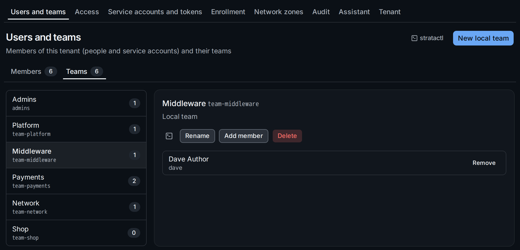 The Teams tab with the local team team-middleware selected: its members and the team actions
